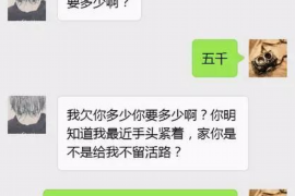 宝山债务清欠服务